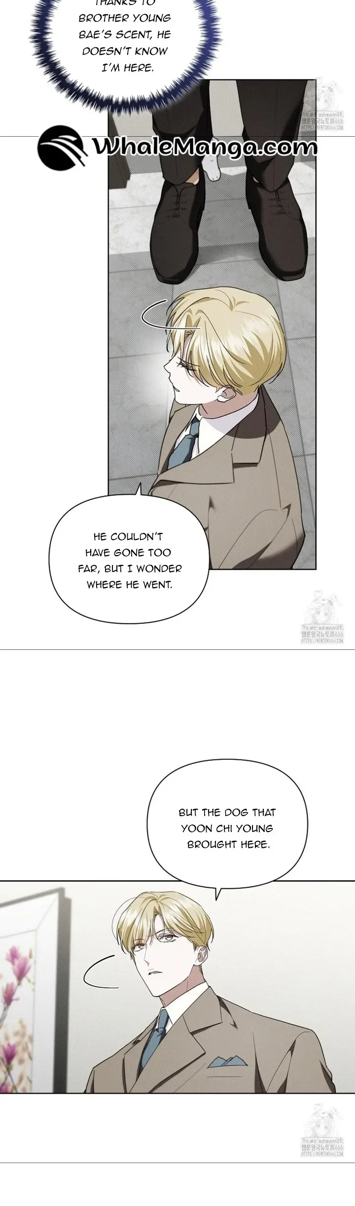 Don