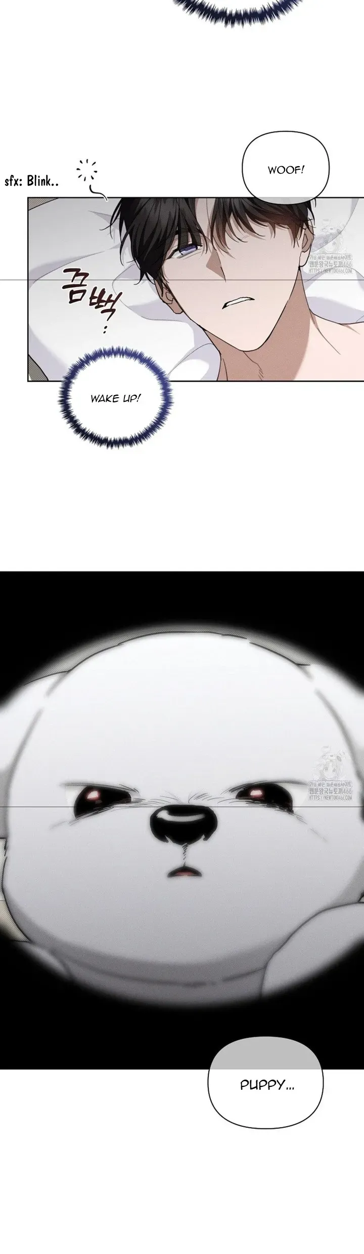 Don