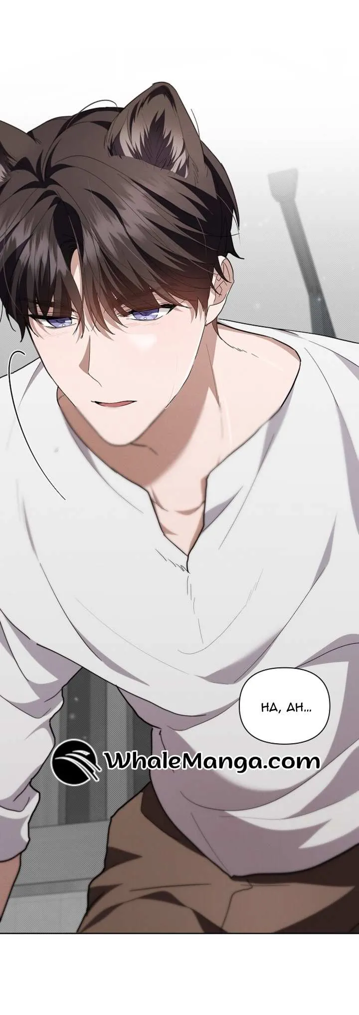 Don