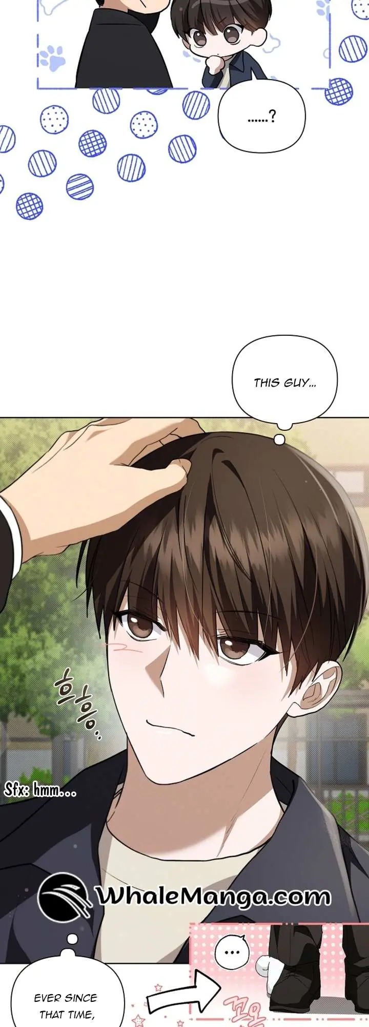 Don
