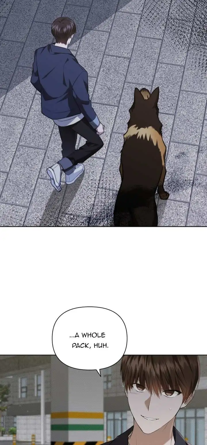 Don
