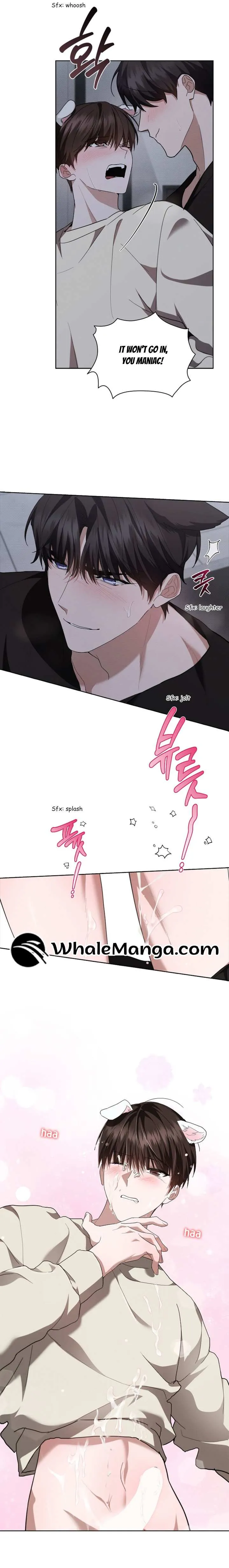 Don