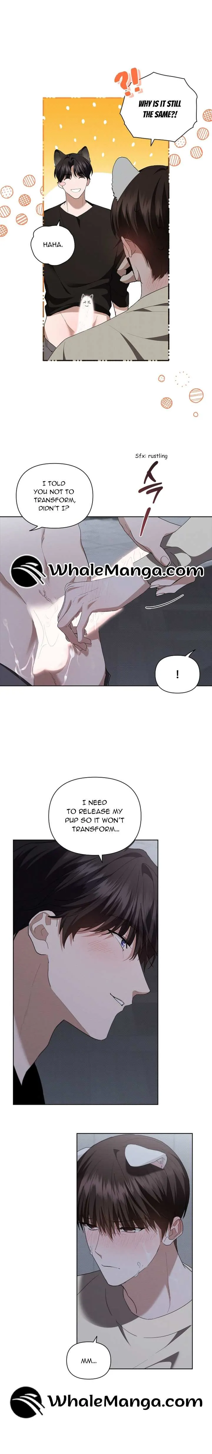 Don