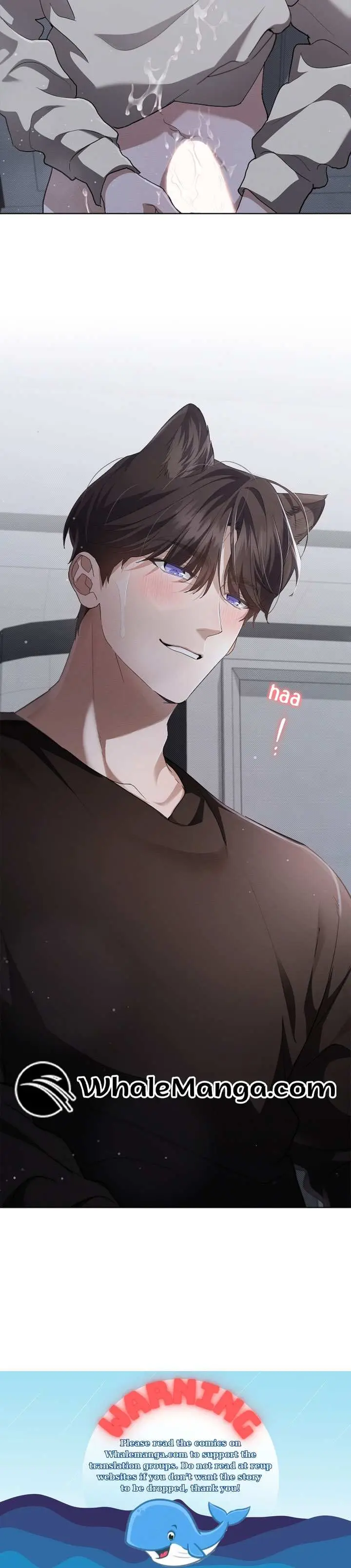 Don