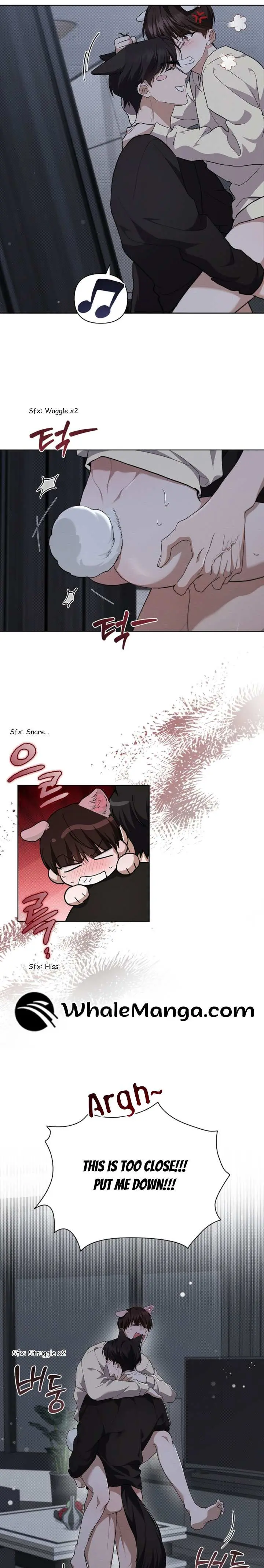 Don