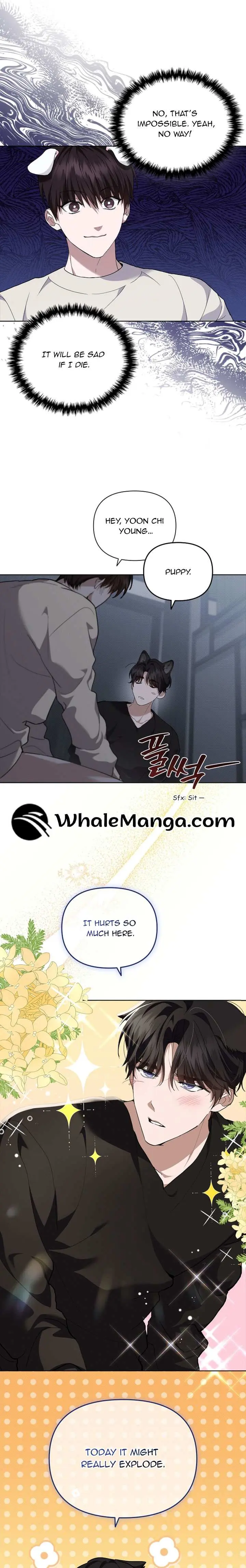 Don