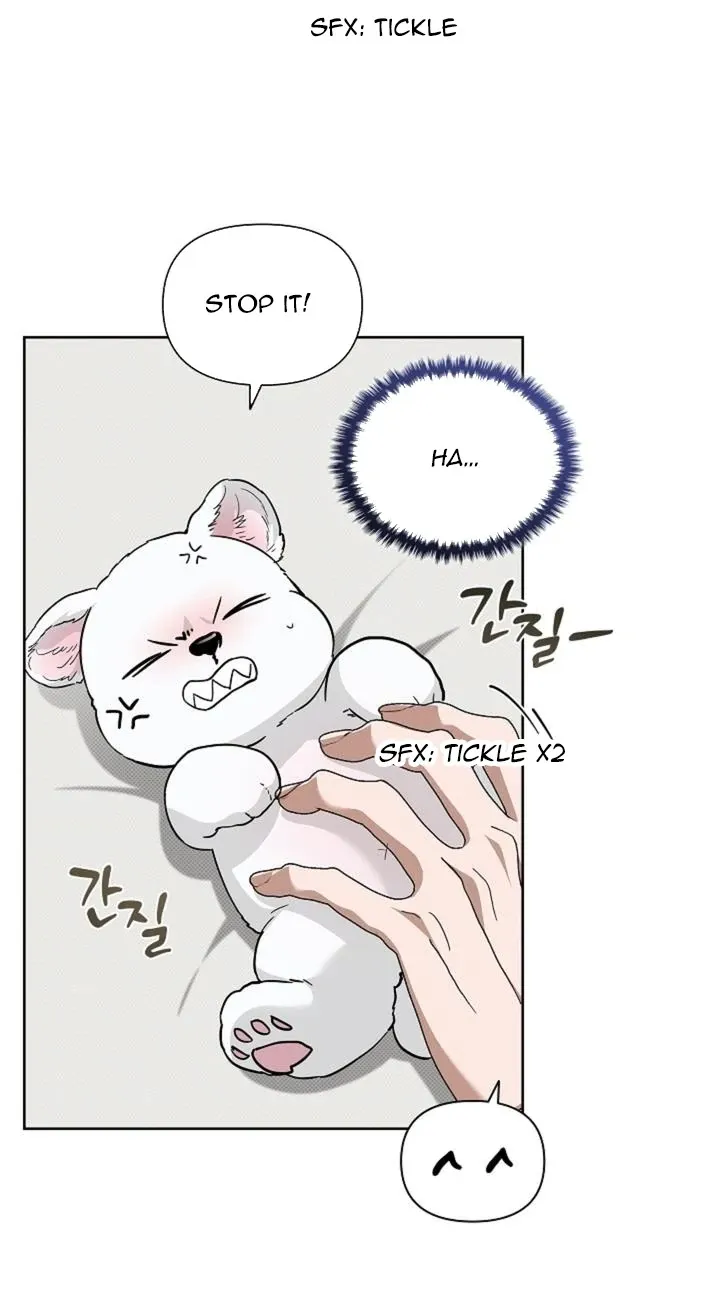 Don