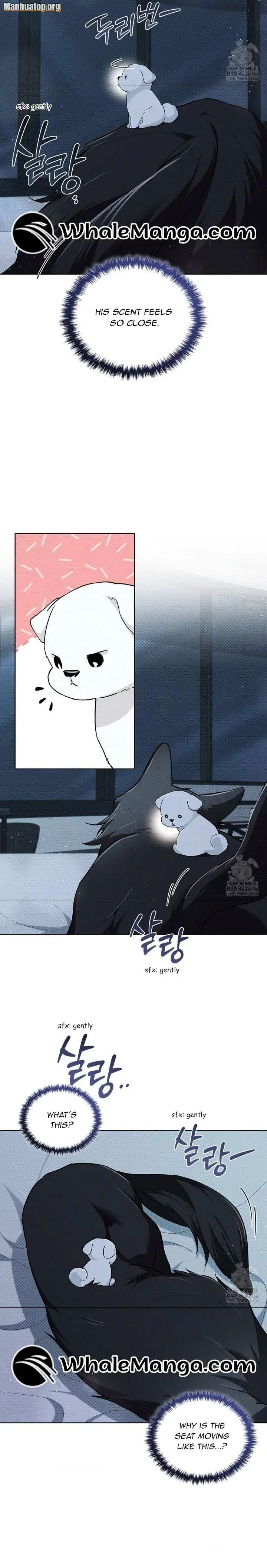 Don