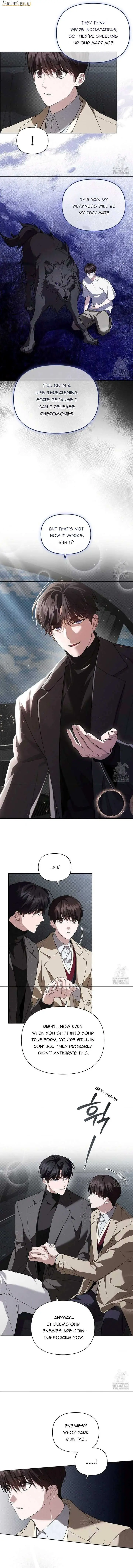 Don