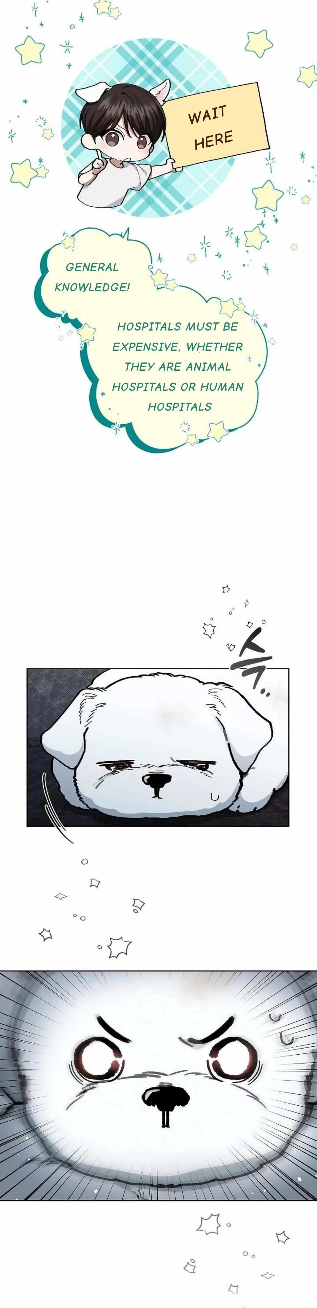 Don
