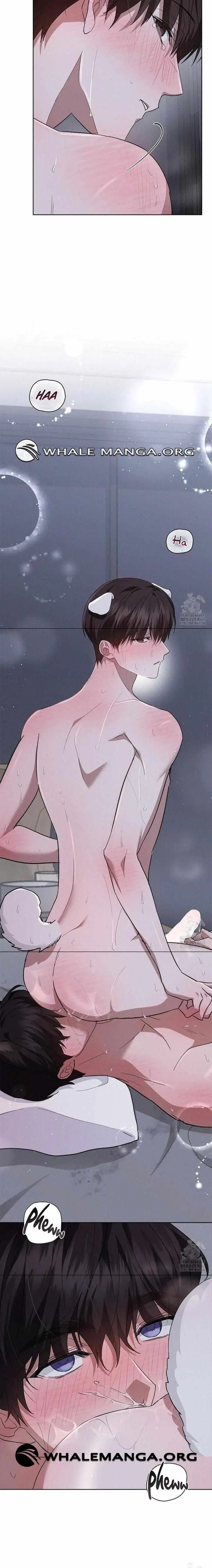 Don