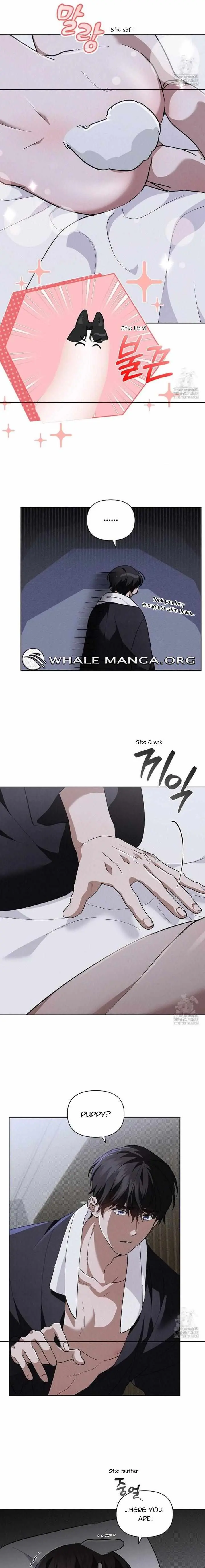 Don