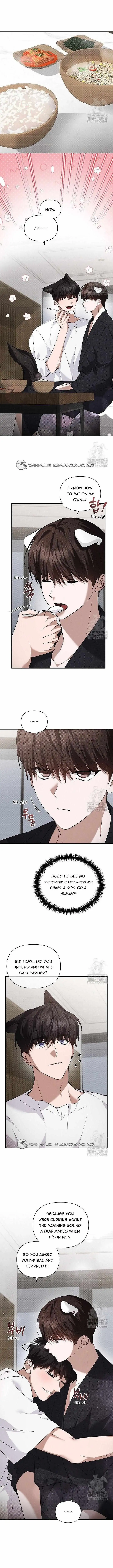 Don