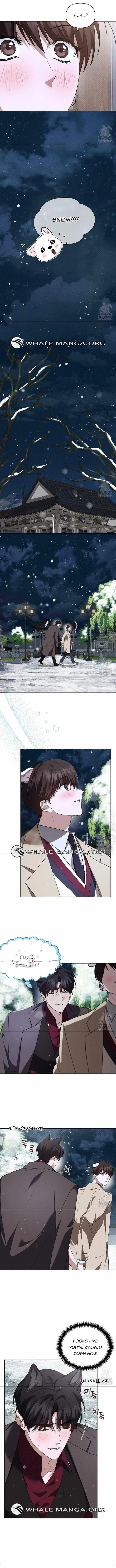 Don