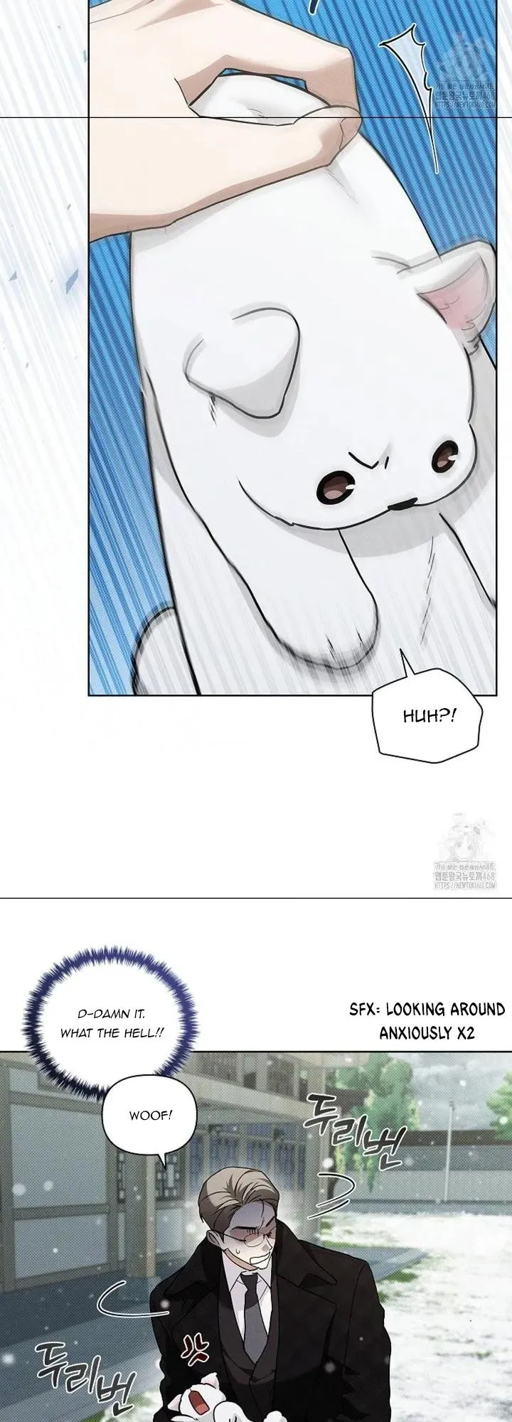 Don