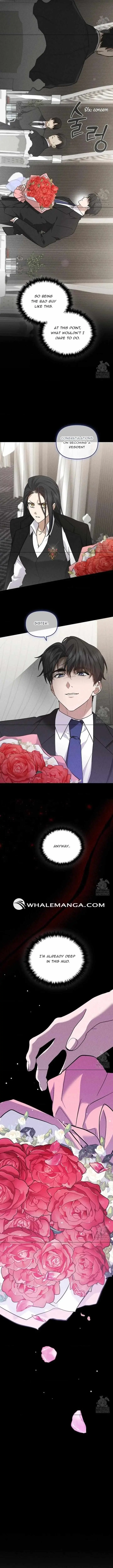 Don