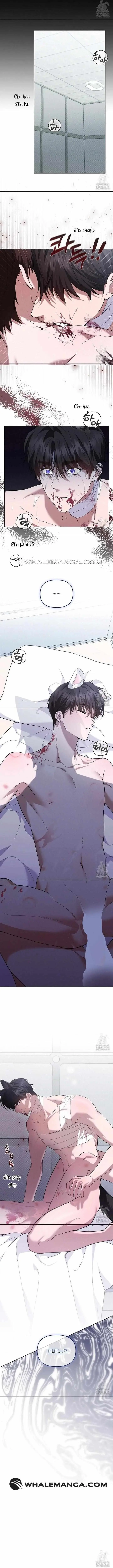 Don
