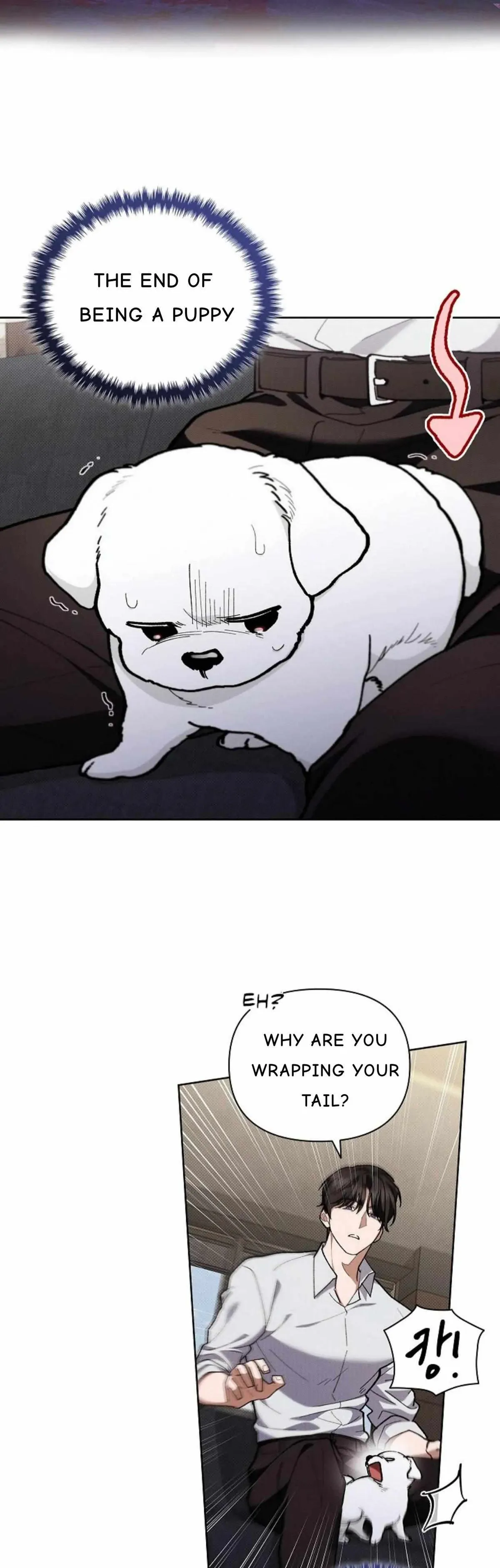 Don