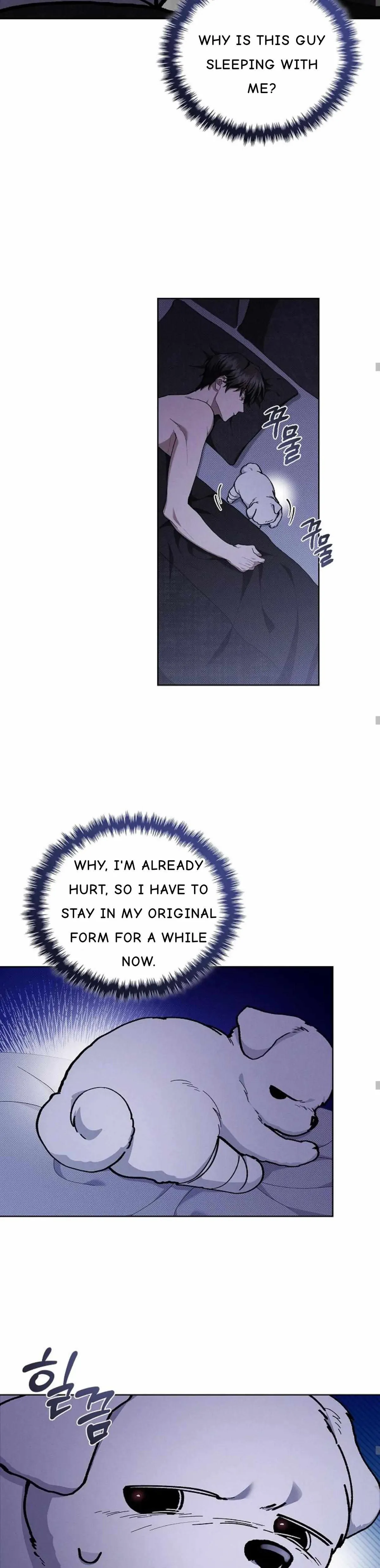 Don