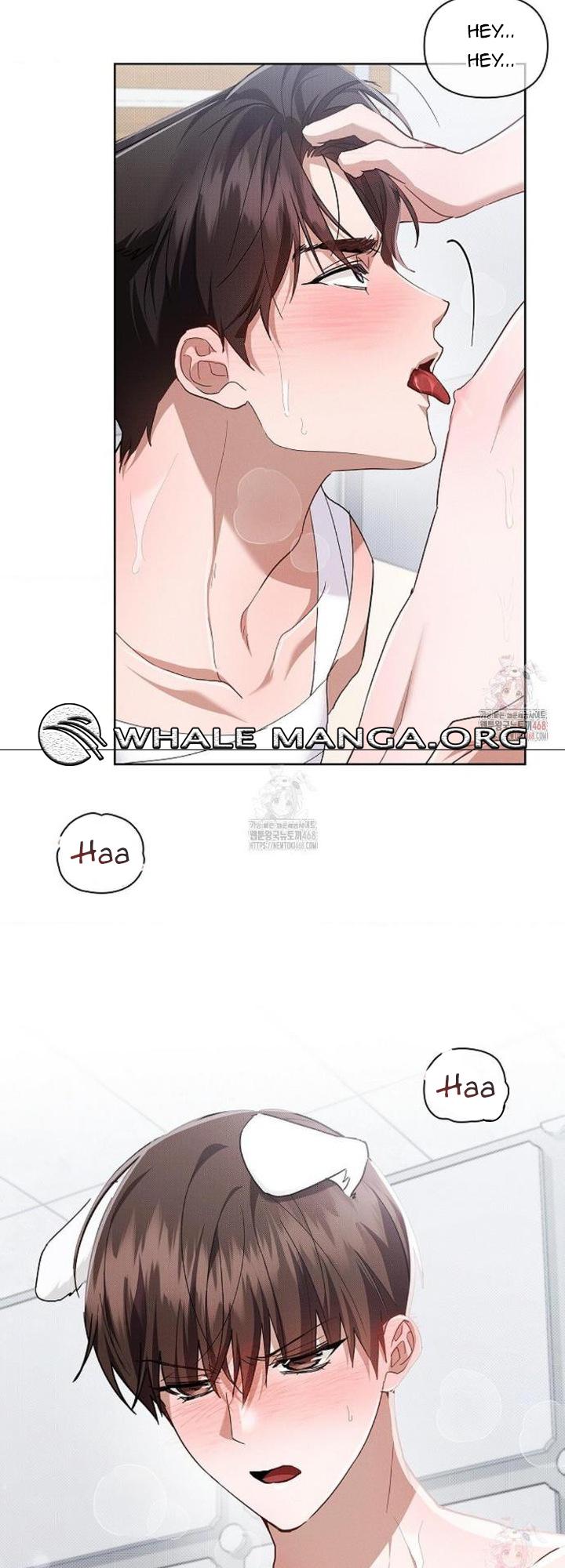 Don