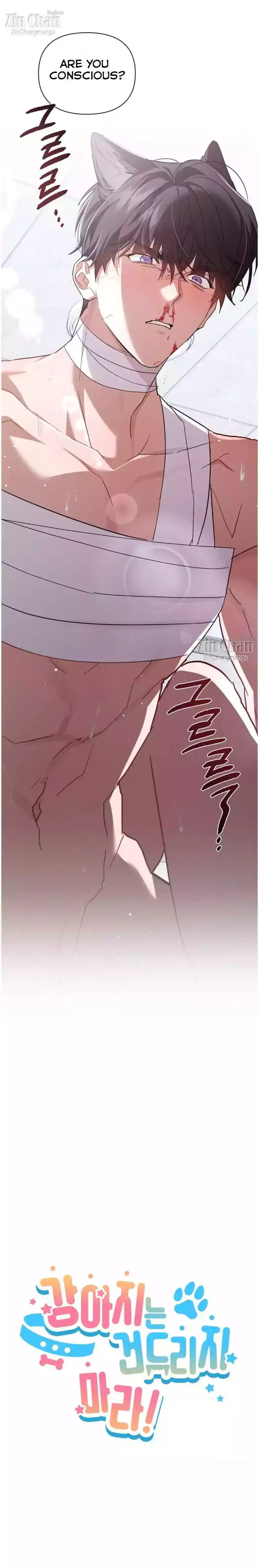 Don