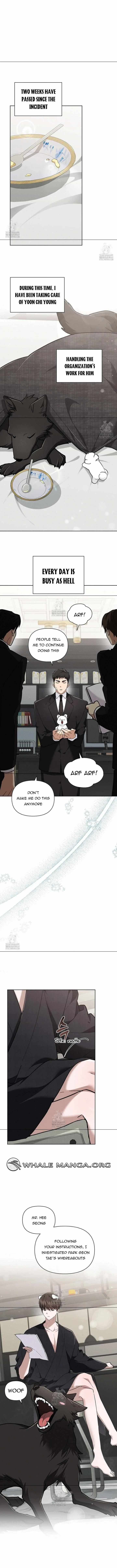 Don