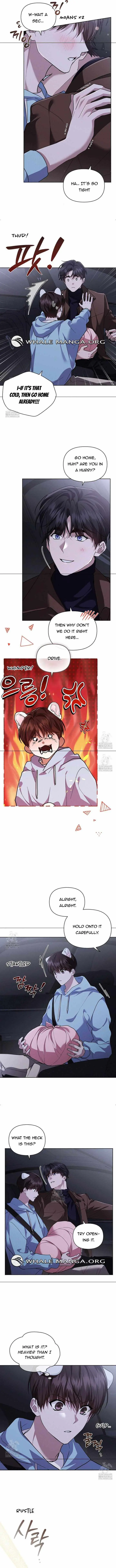 Don