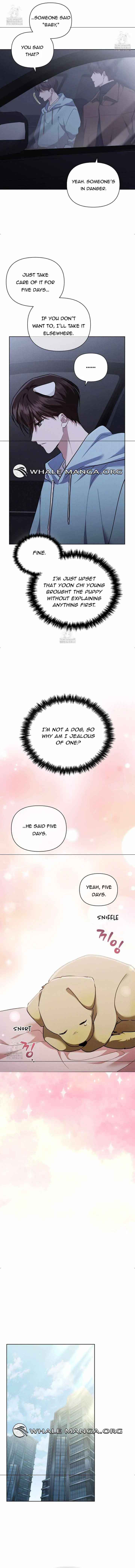 Don