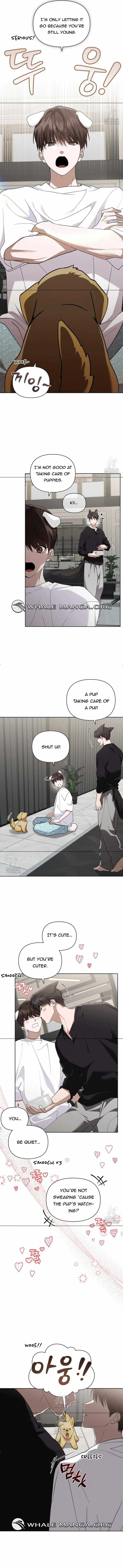 Don