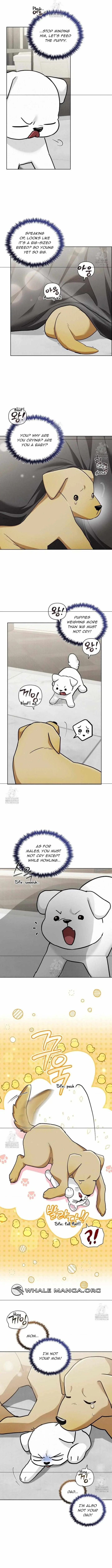 Don
