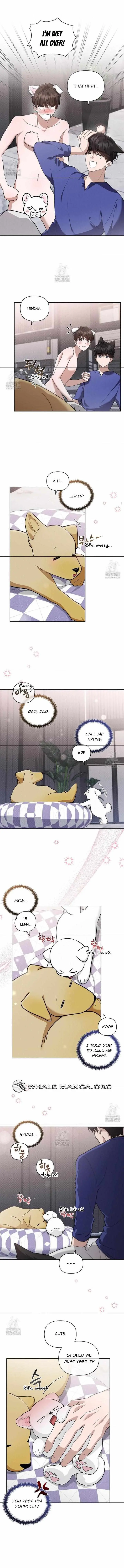 Don