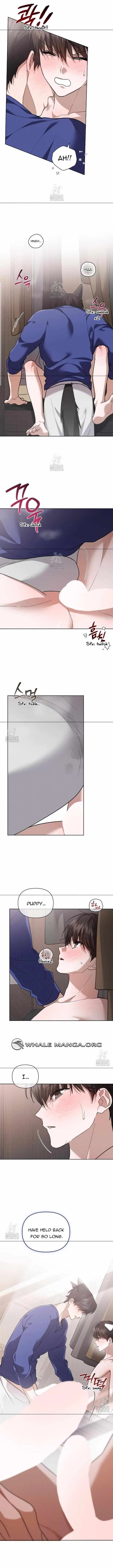 Don
