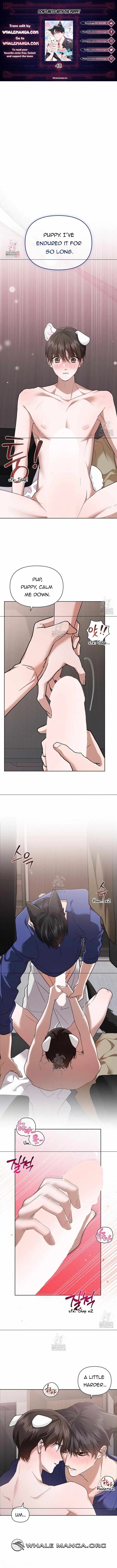Don