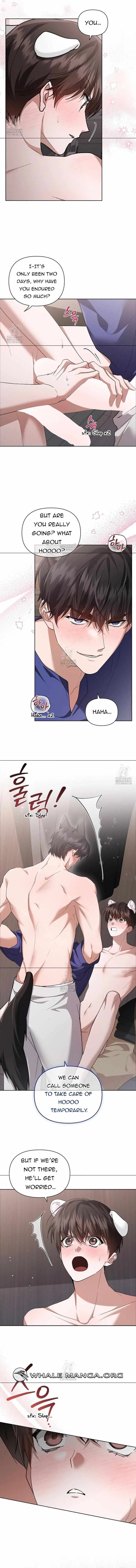 Don