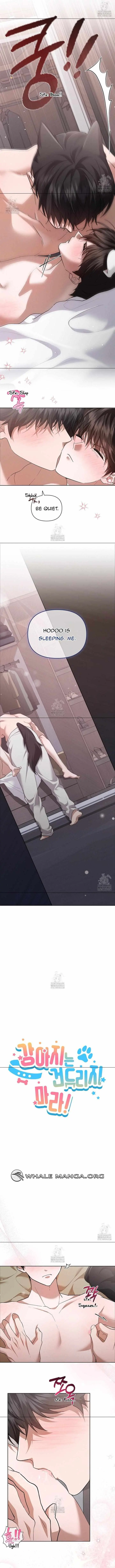 Don