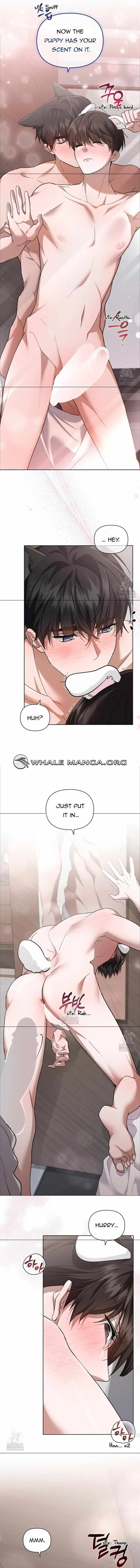 Don