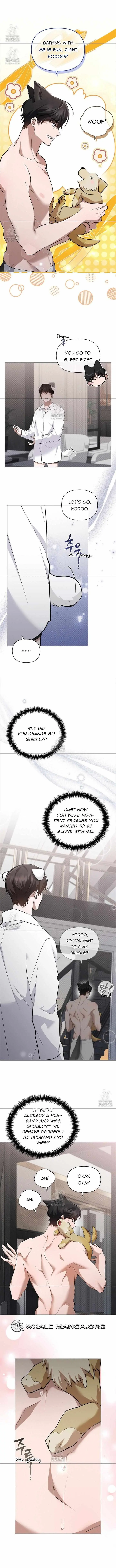 Don