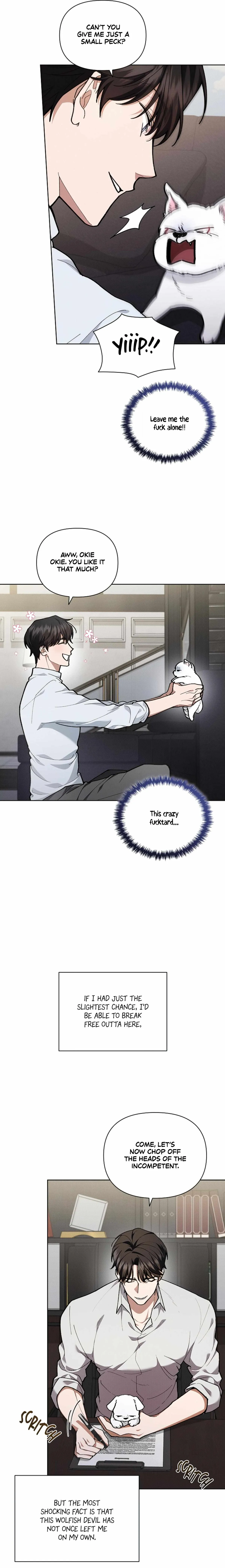 Don