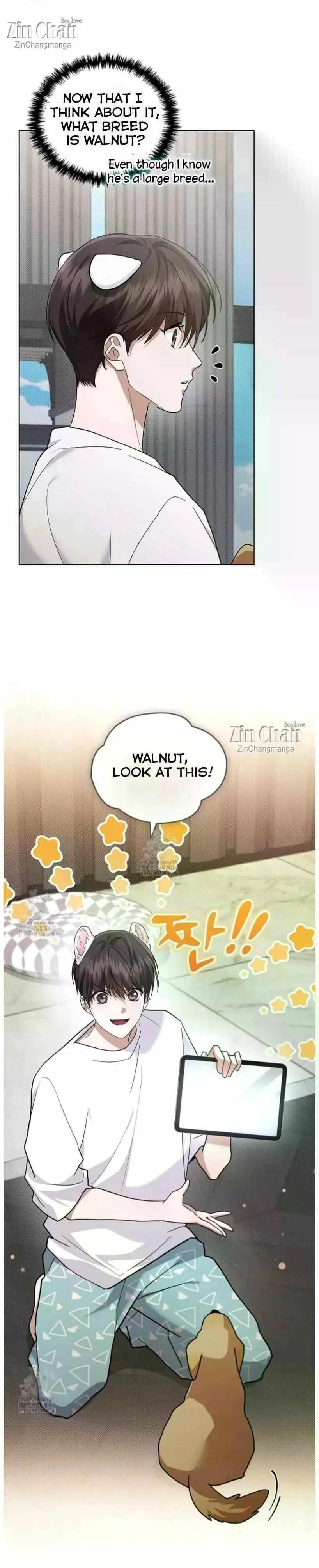 Don