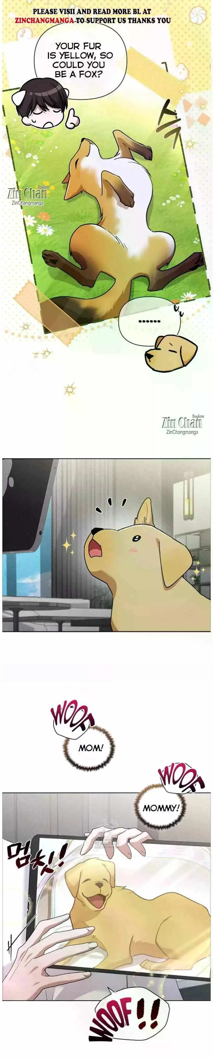 Don