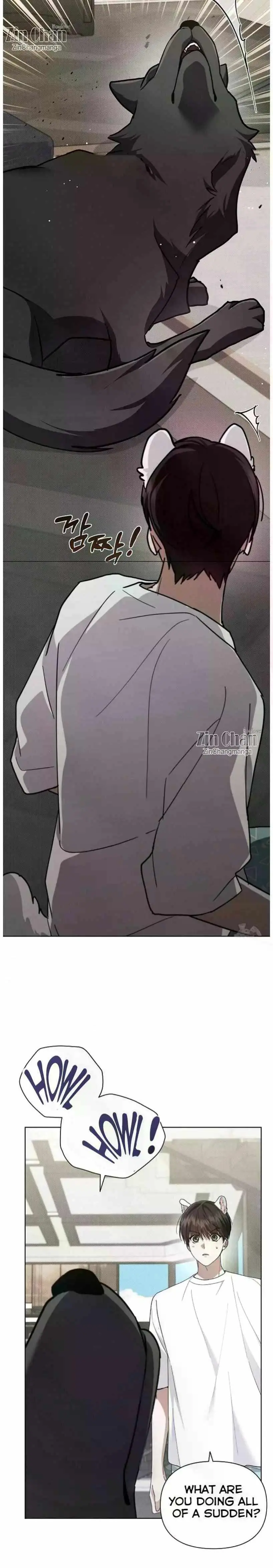 Don