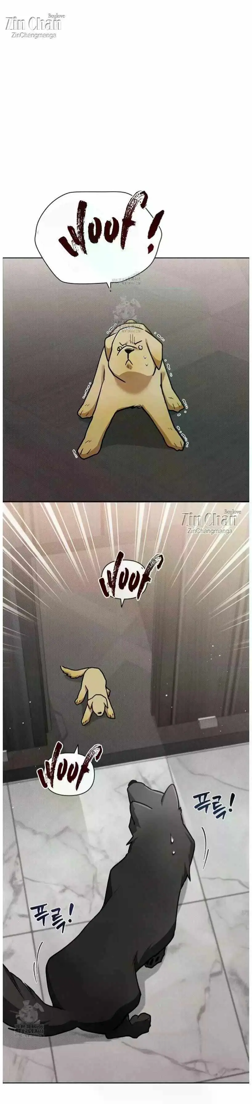 Don