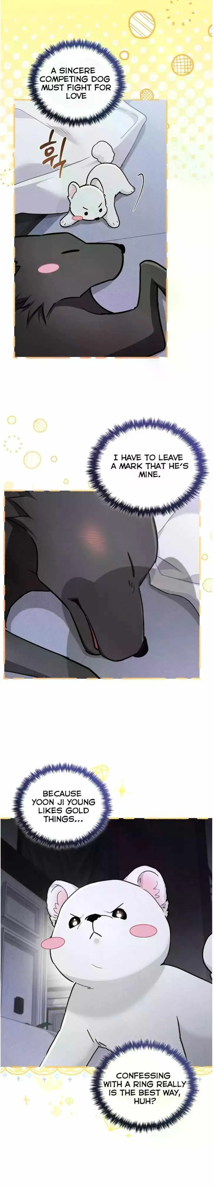 Don