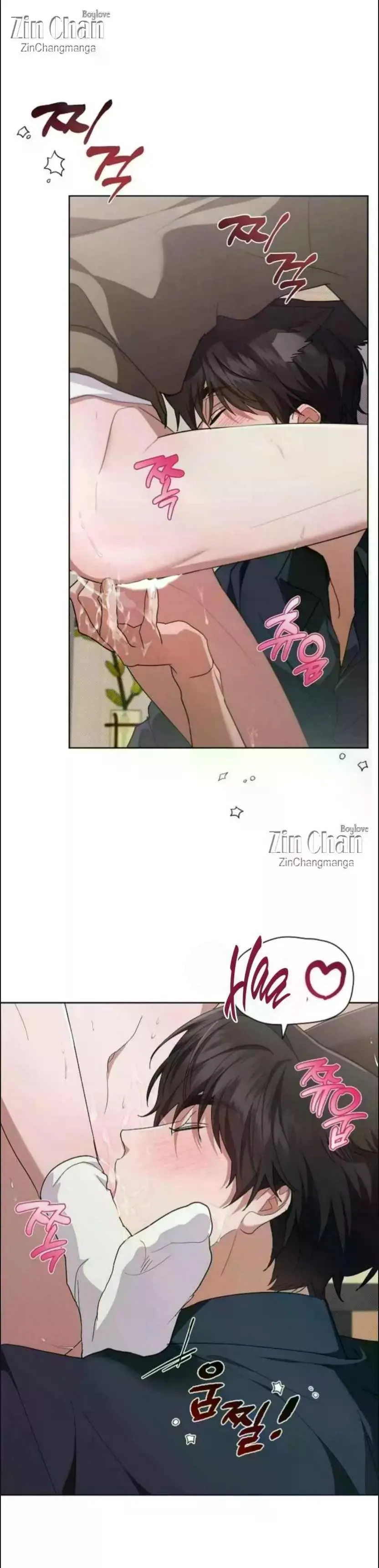 Don