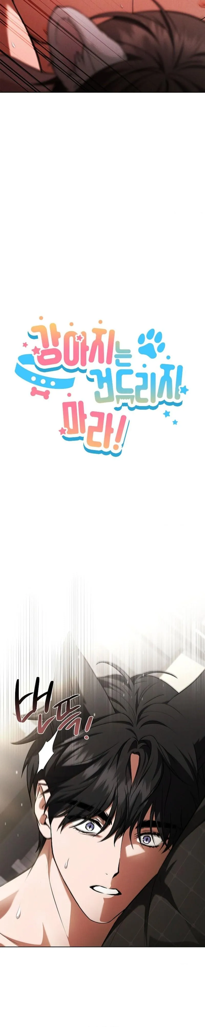 Don