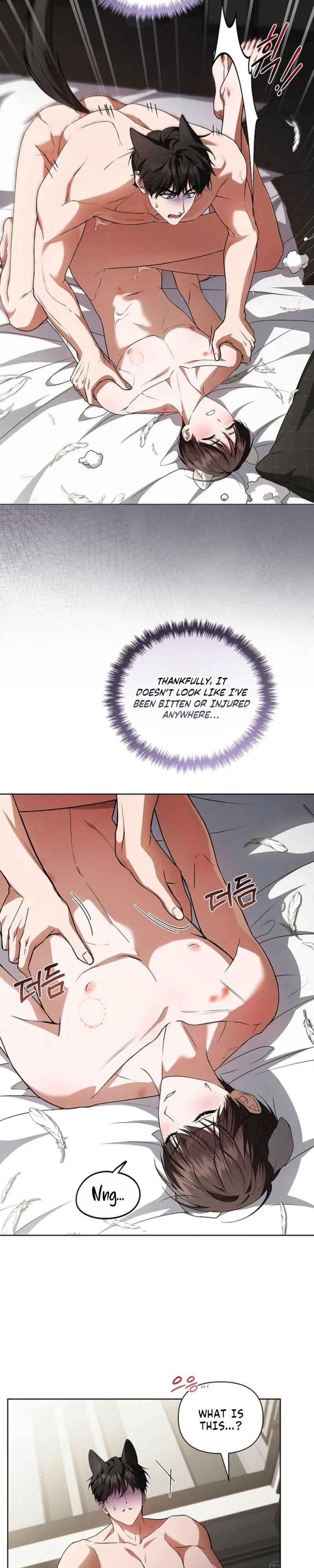 Don