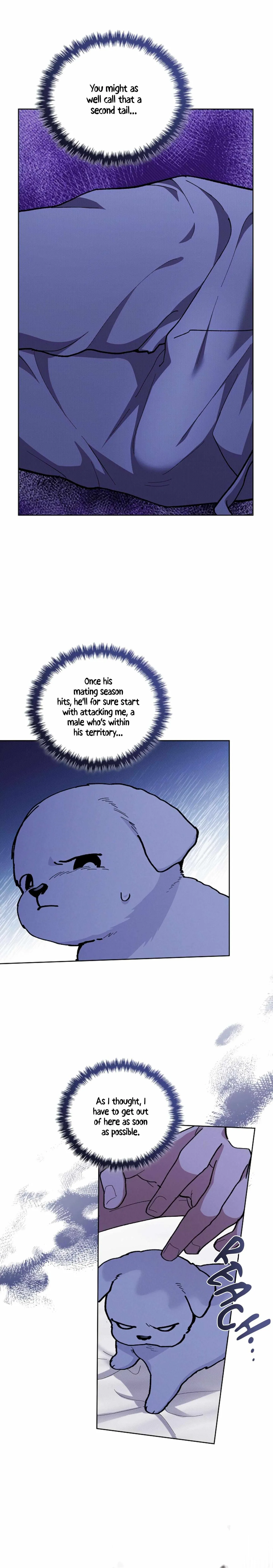 Don