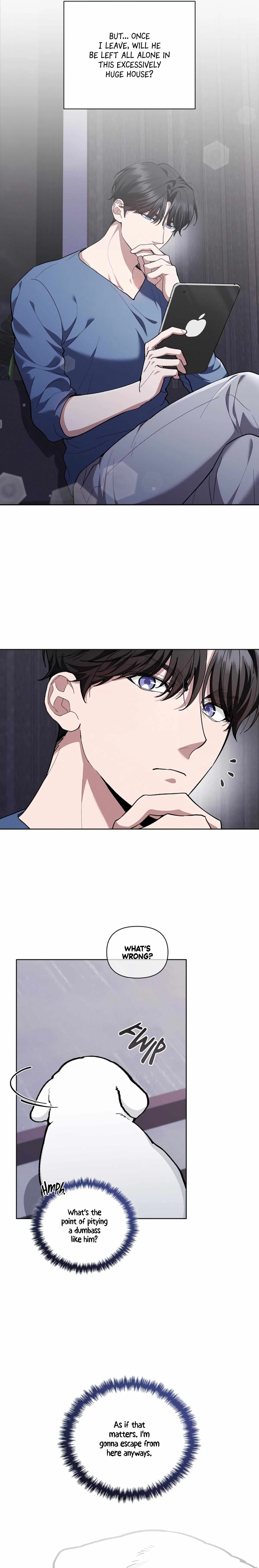 Don