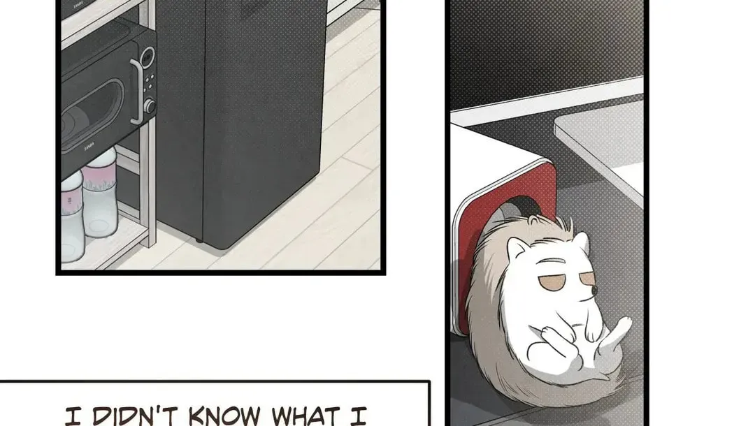 Don