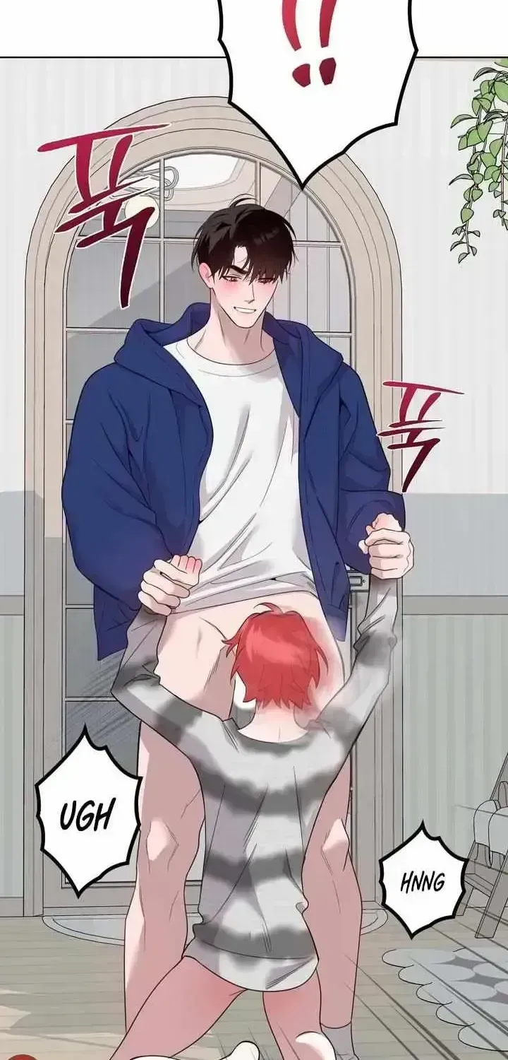 Don